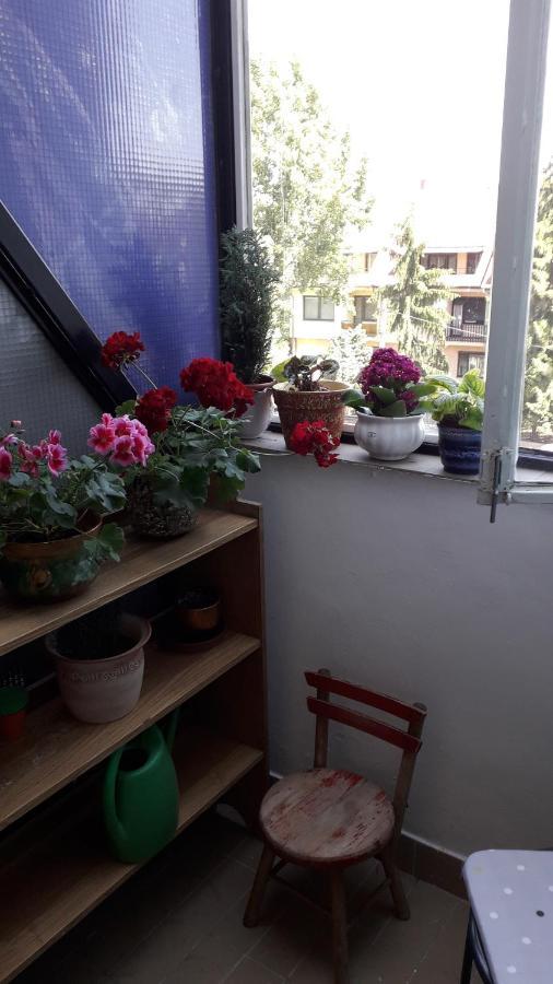 Annika Apartman Eger Exteriér fotografie